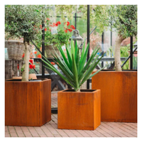 Jardinière rectangulaire en acier inoxydable écologique avec finition revêtue de vinyle, fonction hydroponique