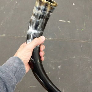 Norse Ale Horn with Holder <b>Stand</b> - Product Image 1