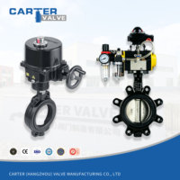 Vanne papillon à levier à vis sans fin électrique pneumatique pour eau, WCB CF8 CF3, avec raccords Wafer, Lug, RF, FF, ANSI DIN, siège EPDM, haute température, OEM