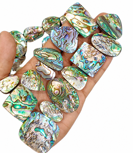 Natural Blue Abalone Shell 100% Natural Stone Brilliant Cut Light Opalescent Loose Free <b>Size</b> High Quality Wholesale Bulk Export - Product Image 1