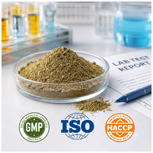 Poudre d'extrait de Giloy biologique, extrait naturel de Guduchi Tinospora Cordifolia, poudre d'extrait à base de plantes pour compléments alimentaires à bas prix - Product Image 4