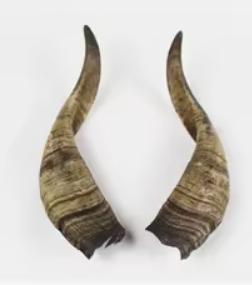 Article décoratif en corne de chèvre fait main, écologique, couleur naturelle, jouet à mâcher pour chien, friandise dure longue durée, moderne - Product Image 2