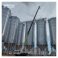 Silos para Granos de Café de Capacidad Personalizada - Acero Galvanizado en Caliente de Grado Profesional, Buena Hermeticidad, Monitoreo PLC SIMENS, EPC Llave en Mano