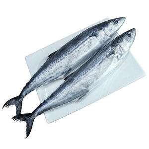 Pescado Fresco de Caballa, Producto de Marisco Premium, Apto para Recetas de Asado, Frito y al Vapor - Product Image 4