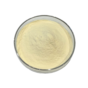 Ingrédient peptidique premium : Poudre de peptide d'élastine pour les acheteurs mondiaux - Product Image 5