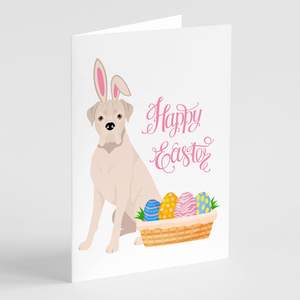 Boxer blanc à oreilles naturelles Cartes de note A7 fantaisistes Pack de 8 cartes vierges avec enveloppes 5x7 Cartes de vœux de Pâques - Product Image 1