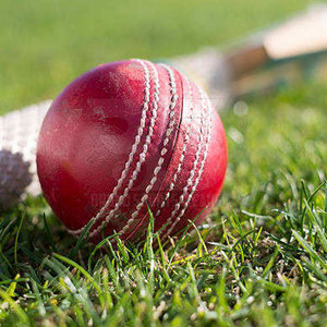 High Quality Leather Cricket Balls For <b>Nets</b> Training And Competitive Matches Built For Stability And Game Consistency - Product Image 6