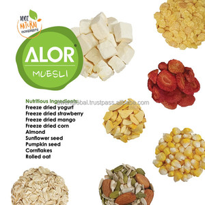 Alor halal พร้อมทานมูสลี่แช่แข็ง-แห้งโยเกิร์ตถั่วผลไม้300กรัมหวานมีรสนิยมกล้วยมะพร้าวแอปเปิ้ลน้ำตาลเนื้อนุ่ม