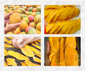 Tranches de mangue séchées, faible teneur en sucre, collation sucrée, fruit naturel, emballage en pot Mason, Vietnam, biologique, qualité supérieure, texture moelleuse, export en vrac - Product Image 3