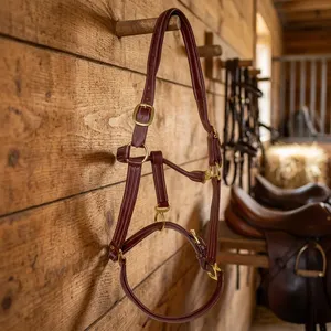 Cabestro de cuero duradero para caballo, ajustable, hecho a mano, accesorios ecuestres Annabelle, proveedor de artículos de equitación. - Product Image 1
