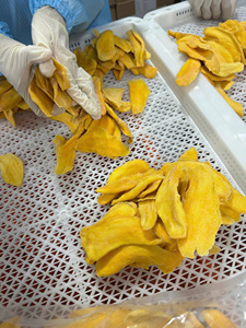 Bulk Wholesale Natural Soft Dried Mango Sticks No Sugar Added Custom Packaging - Product Image 5