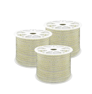 TLC Viet Nam 100M Outdoor Flex LED Strip Light 5730 avec bouton manuel en plastique IP20 prêt à expédier - Product Image 1