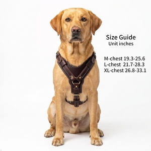 Harnais pour chien en cuir réglable multi-tailles pour chiens de petite, moyenne et grande taille avec boucles métalliques sécurisées et attache pour laisse - Product Image 3