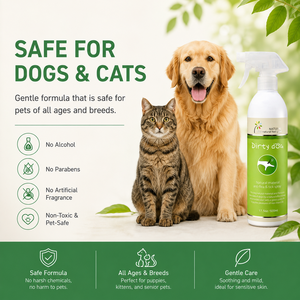 Spray anti-puces et anti-tiques naturel Mr.Tail 120ml, à base de plantes, parfum frais, toutes saisons, pour chiens, soins écologiques pour animaux de compagnie - Product Image 2