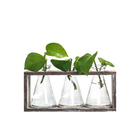 Ensemble de vases en verre pour terrarium avec cadre en bois, 1/2/3 contenants en verre pour la décoration de la maison, l'arrangement floral, l'affichage de mini-plantes