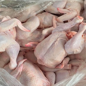 เนื้อไก่แช่แข็งคุณภาพสูง ฮาลาล ไก่ทั้งตัว สำหรับตลาดขายส่งระดับโลก ปรุงง่าย เหมาะสำหรับครอบครัวและร้านอาหาร - Product Image 6