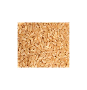 Service OEM, Qualité Supérieure, Vente en Gros, Protéine de Blé de Qualité Alimentaire, Prêt à Expédier, Fournisseur d'Exportation en Vrac de Qualité Supérieure - Product Image 2