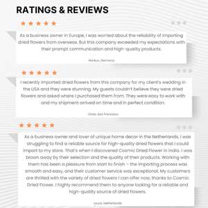 Feuillage décoratif de haute qualité, écologique et premium, à feuilles longues, couleurs personnalisées pour arrangements floraux DIY, vente en gros, décoration 2023 - Product Image 2