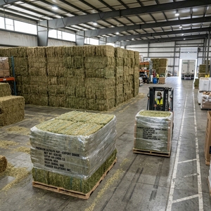 Heno de Alfalfa de Calidad de Exportación, Alimento Premium para Ganado, Rico en Proteínas, para Aplicaciones en Ganadería de Vacas, Caballos y Cabras - Product Image 1