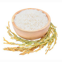 Riz blanc jasmin de qualité supérieure, directement provenant d'un exportateur de confiance, pour la distribution en gros et les opérations de commerce international