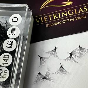 Extensiones de Pestañas Preformadas de Alta Calidad, Pelo Sintético Negro Mate 0.03-0.05mm, Curvatura CC/DD/M/LD, Mega, Logotipo Personalizado - Product Image 5