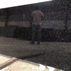 Dalles et carreaux de granit Star Galaxy, granit noir poli, exportateur et fournisseur d'Inde - Product Image 1