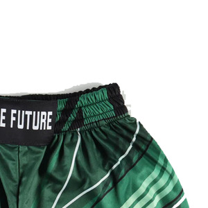 Shorts de boxe pour hommes, motif vert et noir, taille élastique, respirant, vêtements d'entraînement, toutes saisons, polyester - Product Image 4