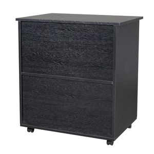Armadietto Portadocumenti in MDF Nero e PVC con Un Cassetto e Una Scomparto a Doppia Anta - Product Image 4