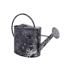 Regadera de Metal Galvanizado Estilo Rústico Vintage, Maceta y Pulverizador de Plantas para Decoración de Jardín - Product Image 6