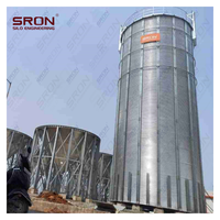 Silos para Granos de Café de Capacidad Personalizada - Acero Galvanizado en Caliente de Grado Profesional, Buena Hermeticidad, Monitoreo PLC SIMENS, EPC Llave en Mano