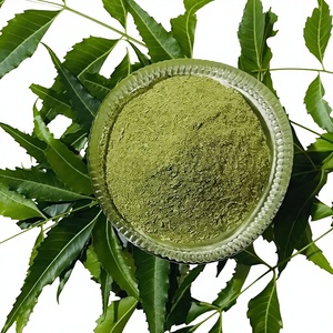 Poudre de Neem Végétale 100% Naturelle et Pure de Qualité Alimentaire, Fourniture en Gros OEM ODM, Meilleure Vente pour le Soutien Immunitaire et Digestif - Product Image 6