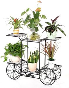 Decorative Metal <b>Corner</b> <b>Plant</b> Stand Tall Tiered Indoor <b>Plant</b> Shelf for Stylish Home Display - Product Image 3