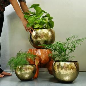 Elegante Macetero de Latón Dorado para Decoración Interior Contemporánea, Ideal para Decoración de Hogar, Oficina, Hotel y Restaurante, al por Mayor - Product Image 6