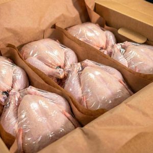 Pollo Entero Congelado al Vacío IQF Halal Premium al por Mayor de Austria, Entrega Rápida, Calidad Consistente, con Descuento - Product Image 1
