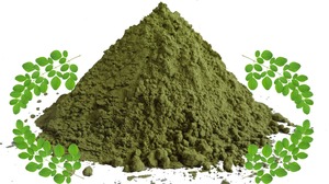 Exportador Indio de Polvo de Moringa Nutritivo, Superalimento para la Salud Diaria, Bienestar y Energía, Disponible para la Venta - Product Image 4
