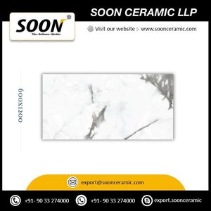 New Modern Design ALBINO-GRIS 600x1200 High Gloss Porcelain Floor <b>Tiles</b> from India - Product Image 2