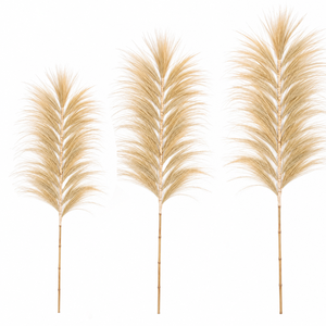 Décoration Écologique Faite à la Main en Roseaux Naturels Séchés Style Pampas pour Vases, Mariages, Fêtes et Décoration Intérieure - Product Image 1