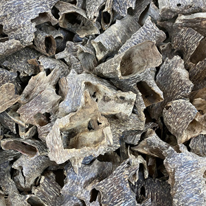 AZ Oud Vietnam 100% Natural Premium Agarwood Oud Wood Chips (Ant-Infected Aquilaria Crassna) Grade 3A+ High Resin Content Sweet - Product Image 1
