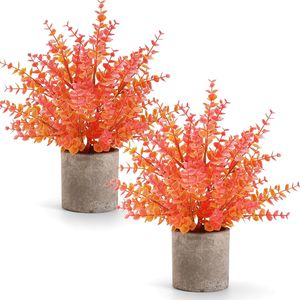 Lot de 2 plantes artificielles en pot d'eucalyptus de 14 pouces, petites décorations d'automne pour la maison, les étagères, le bureau, la salle de bain, le bureau ou la ferme - Product Image 1