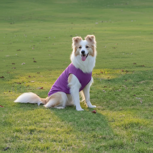 Ropa para Mascotas al por Mayor, Camiseta de Algodón para Perro, Chaleco para Cachorro de Colores, Ropa Ligera y Flexible para Gato de Color Sólido - Product Image 5