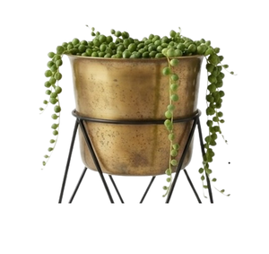 Support en fer pour plantes, jardinière décorative artisanale en métal, finition dorée, jardinière décorative pour balcon - Product Image 5