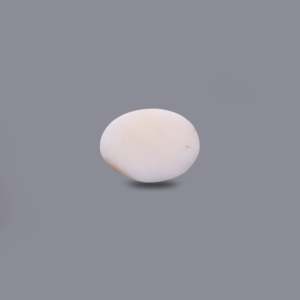 Natural White Coral 11.15 Carat Certified Wholesale Gemstone - Product Image 2