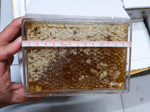 น้ำผึ้งธรรมชาติแบบแผ่น ไม่ใช่พืช GMO ผลิตภัณฑ์จากฟาร์มโดยตรง/ คุณอลินา บริษัท เวียต เดลต้า คอร์ปอเรชั่น ความเข้มข้น 80% ความชื้น 18% อายุการเก็บรักษา 12-24 เดือน - Product Image 2