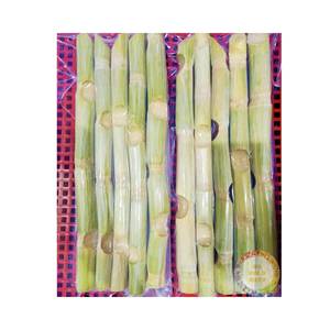 Bâtonnets de jus de canne à sucre frais du Vietnam, Brix 18% et plus, 100% naturel, fraîchement pelé et nettoyé, 20kg/Carton en vrac pour la vente en gros - Product Image 4