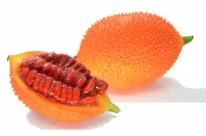 Fruta Gac Fresca de Vietnam – Calidad Premium, Rica en Nutrientes // Mr.Tom - Product Image 4