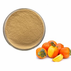 Extracto de Caqui Deshidratado Premium 10:1, Polvo de Fruta de Caqui 100% Puro con Sabor Natural a Fruta para Smoothies y Bebidas Saludables - Product Image 3