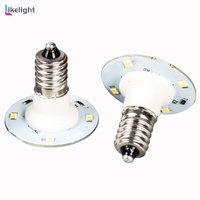 Vente Flash : Lumière ponctuelle LED E14 extérieure OEM/ODM 40 mm 60 V SMD2835 monocolore pour manèges de parcs d'attractions
