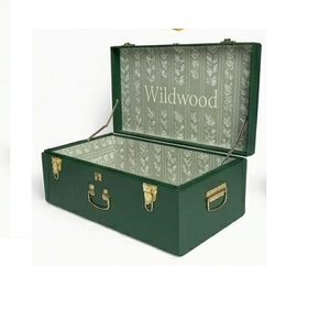 Luxury Rectangular Lidded Storage Trunk <b>Box</b> Stackable Medium Capacity Teal and Cream Plastic Home Organization Trunk <b>Box</b> - Product Image 3