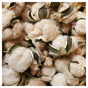 ฝ้ายดิบออร์แกนิกแบบมัดเป็นก้อนสำหรับตลาดระหว่างประเทศ - Product Image 3