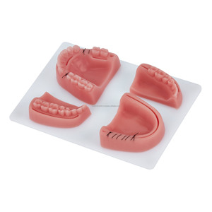 Kit d'entraînement à la suture dentaire avec coussinet de pratique, modèle pédagogique pour dentistes, instruments dentaires, fournisseur en gros - Product Image 6